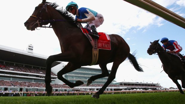 Agony and ecstasy: Admire Rakti barrels down the back straight on his doomed Melbourne Cup run.