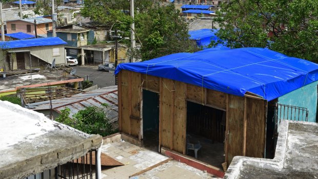 Homes are covered with FEMA tarps after a hurricane devastated the island. 