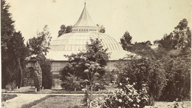 Melbourne University's system garden, circa 1870. The top of the conservatory tower can be seen above the domed roof.