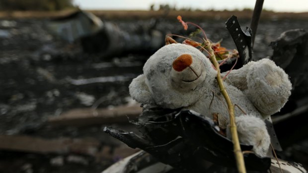 A teddy bear among the debris of flight MH17 at the crash site outside the Ukrainian village of Grabovka in 2014.