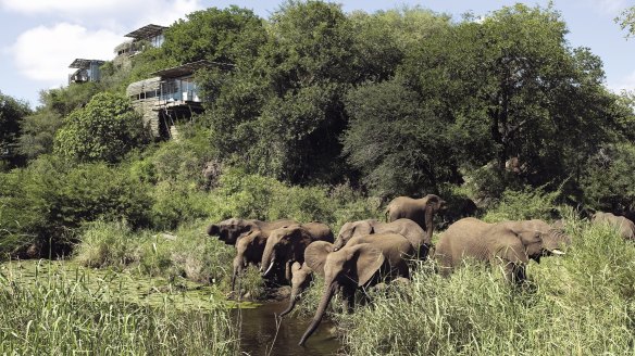 Guests at Singita Lebombo Lodge, within Kruger National Park, see an astonishing array of wildlife up close.