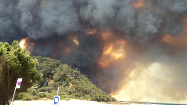 Fire destroyed 116 homes at Wye River and Separation Creek on Christmas Day