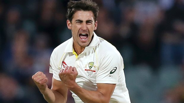 Back in action: Mitchell Starc.