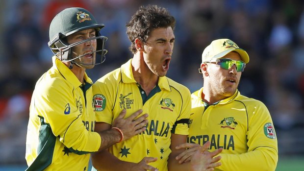 Kiwi jitters: Australia bowler Mitchell Starc celebrates a late wicket.