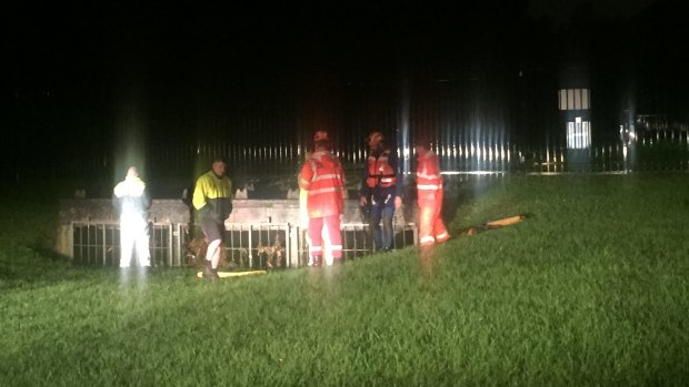 Crews search drains next to Unanderra pool.