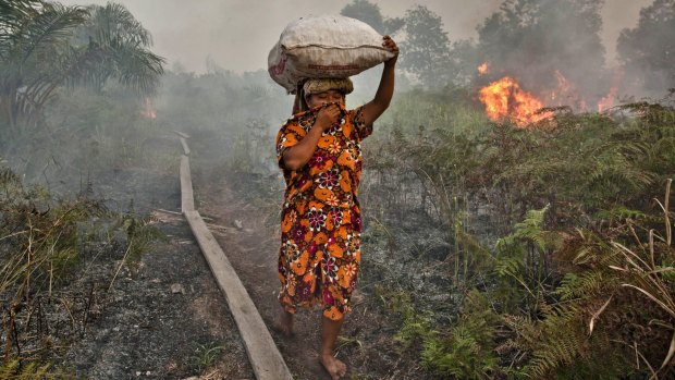 A woman walks trough haze as a forest fire burns in Siak Regency, Riau Province, Indonesia. The fires on Sumatra have caused record smog in Malaysia and Singapore.