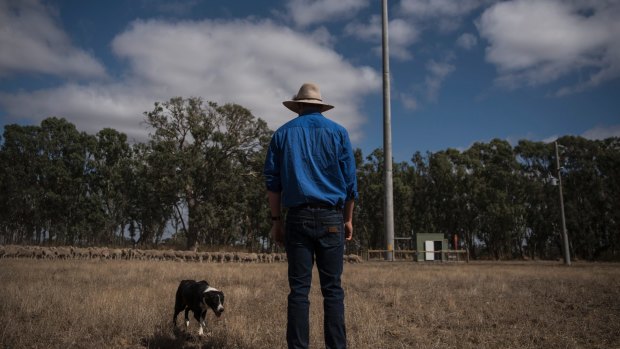 Lower frequencies carry data longer distances, which is great for rural Australia. High frequencies are good for dense city areas. 