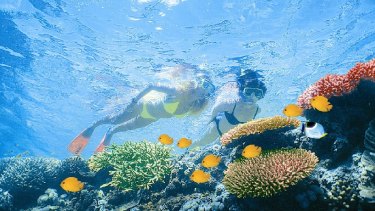 Some 64,000 jobs rely on the health of the Great Barrier Reef, especially tourism.
