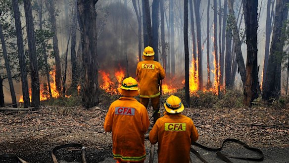 The CFA will become a solely volunteer operation under the new arrangements. 
