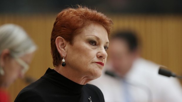 Pauline Hanson took on ASIO boss Duncan Lewis over links between refugees and terrorism.