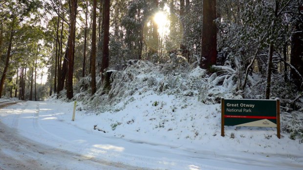 Snow at Mount Sabine near Lorne on Wednesday morning.