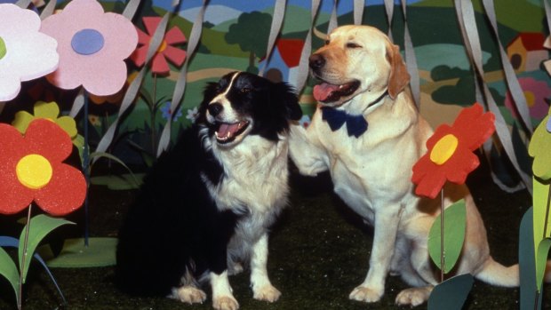 Bouncer, right, delivered the best dog's tale in Neighbours 