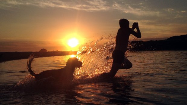 For many Australians, the beach has been the ideal destination.