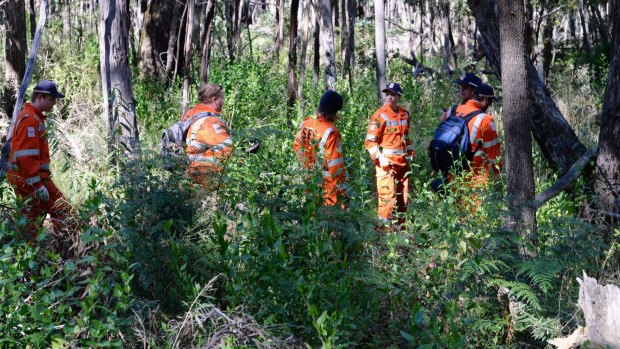 SES volunteers slowly walk through bush at the start of their line search in Macedon.