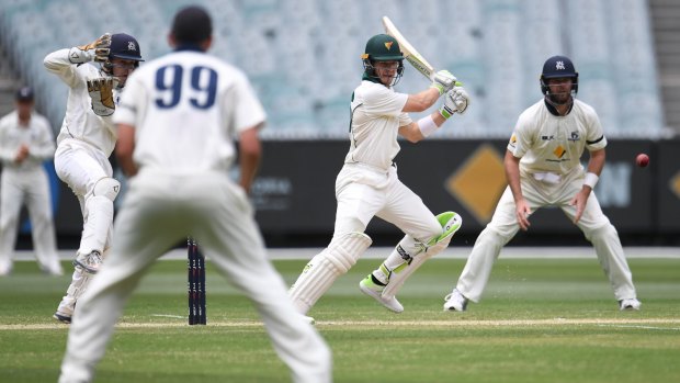 Taking charge: Tim Paine launches into the Bushrangers attack at the MCG.