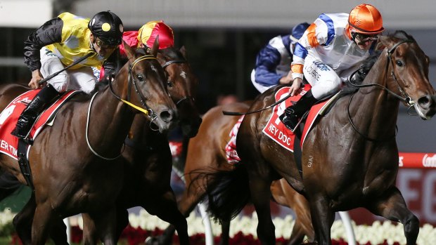 'Lot of fight': Luke Currie rides Hey Doc to victory in the Manikato Stakes at Moonee Valley.