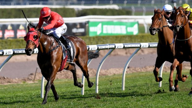 Red-letter day: Kerrin McEvoy rides Redzel to victory in the Concorde Stakes.