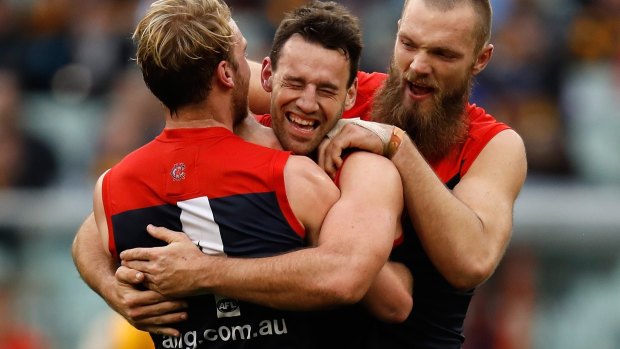 Space for rent: Melbourne is looking for a new co-major sponsor for the back of the Demons' jumper.