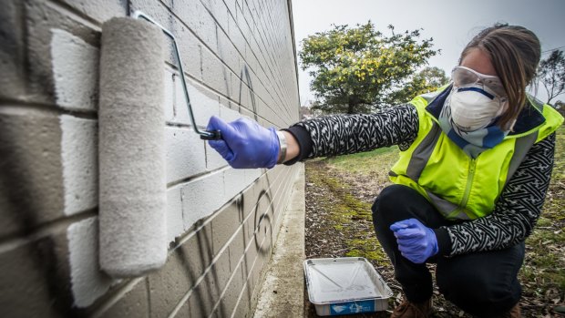Southside suburbs are hotspots and the government hopes more people will join community graffiti busting groups to paint out illegal graffiti in Canberra.