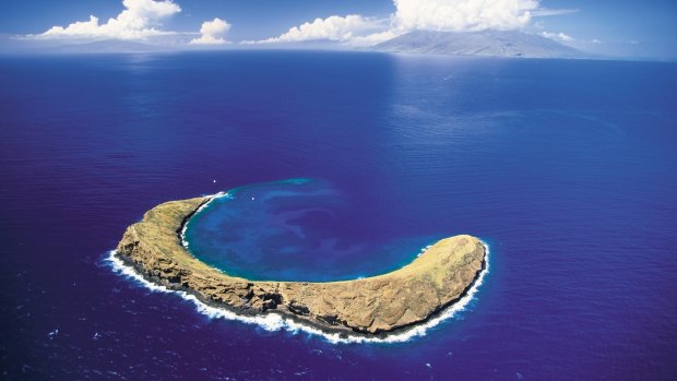 Snorkel in Molokini Crater on Maui.