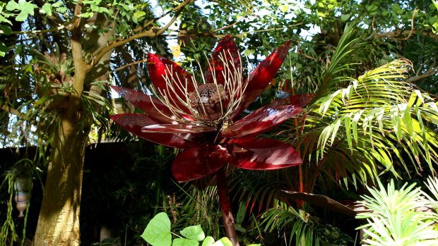 The Roraima Nursery in Lara is full of unusual, exotic plants.