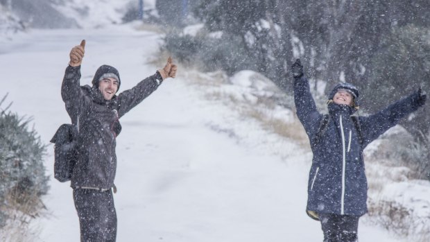 Up to five centimetres of snow fell on the peaks of the Snowy Mountains overnight.