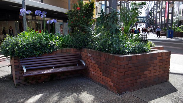 A planter box in the Wollongong City Mall. 