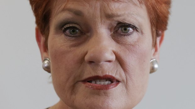 Senator Pauline Hanson took up the invitation to visit LNP member for Buderim Steve Dickson.