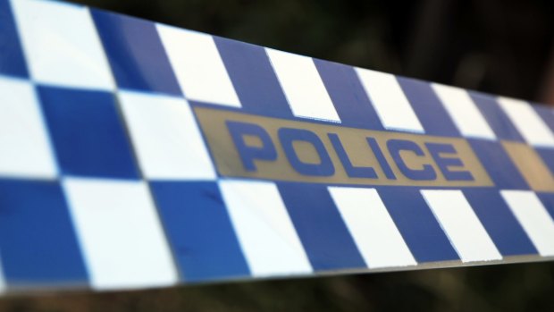 Police say a five-year-old boy wandered into bush at Rainbow Beach.