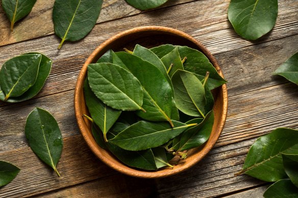 Bay leaves add a deep savoury note to stocks.