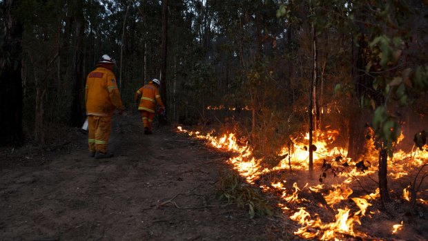 RFS firefighters conducting a backburn on at a fire near Richmond Vale earlier his week.