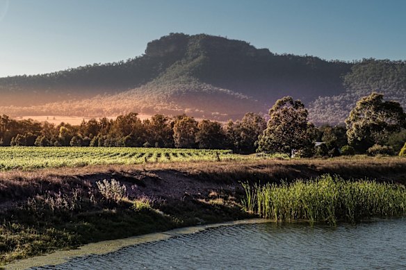 Located in the tranquil, less-visited subregion of Broke Fordwich, Margan is an elegant European-style winery with an award-winning fine-dining restaurant.