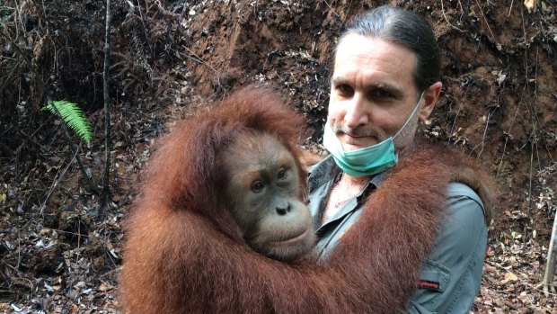 "Orangutans trick the shit out of you – this shows theory of mind," Leif Cocks says.