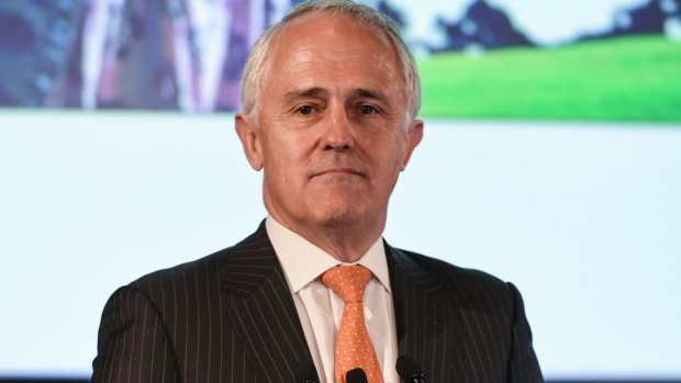 Communications Minister Malcolm Turnbull to visit Sunshine Coast on Friday
