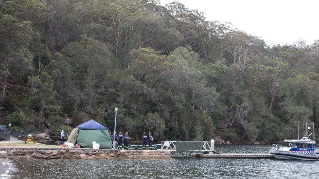 Police and emergency services at the scene of the seaplane crash. 