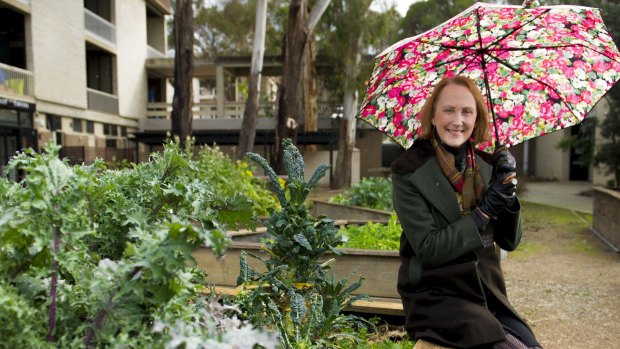 Assistant Professor Gabrielle O'Kane in the vegetable garden at the University of Canberra. 