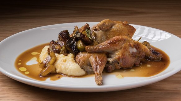 Roasted quail with chestnuts and polenta.