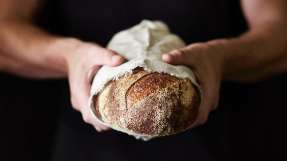 Tough mothers: The yeast starters behind sourdough breads are able to survive some rough handling. 