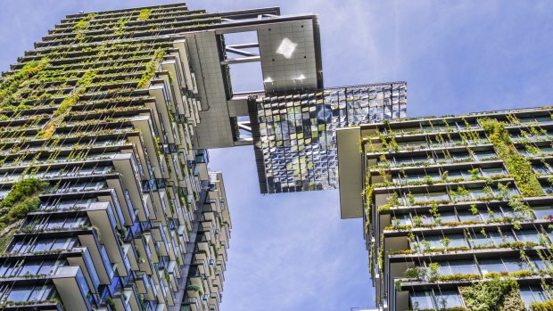 The One Central Park development at Broadway, Sydney, uses recycled water on its open space and green wall.