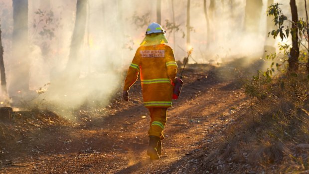 An RFS firefighter battles an unrelated fire at Richmond Vale on Wednesday.