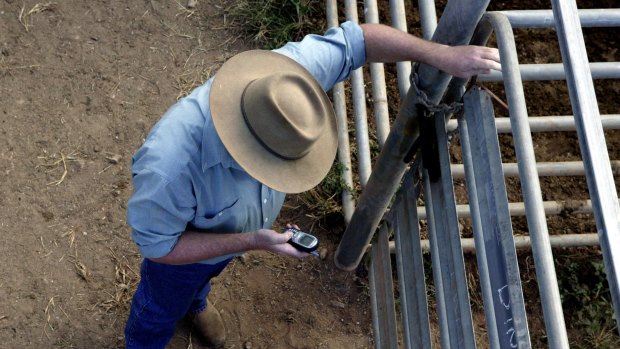 Backpackers worked almost three months without a day off on a farm west of Gympie.