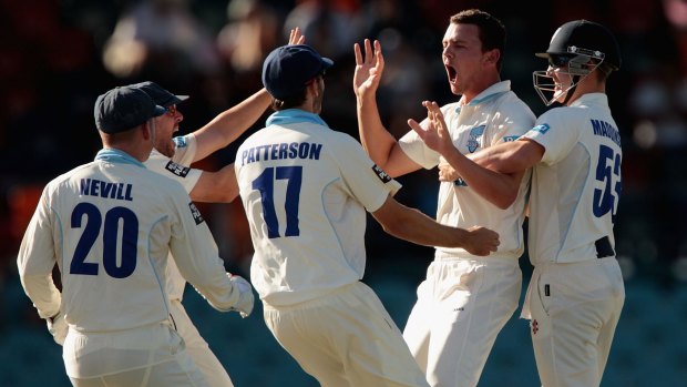 Josh Hazlewood celebrates a wicket with NSW teammates. 
