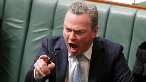 Mr Pyne tells the opposition what he thinks of them.