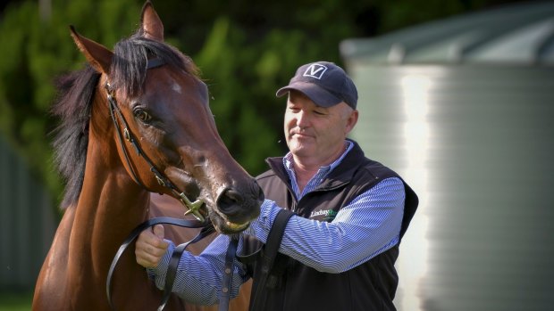 David Hayes with Black Caviar's daughter Oscietra on Friday.