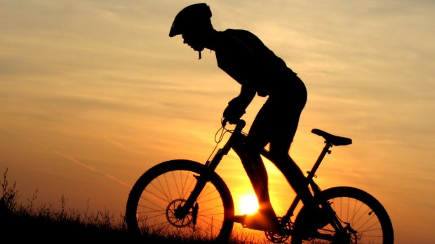 Two mountain bike riders have been allegedly attacked by a man and his dog near Belgrave.