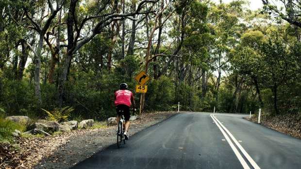 A cyclist enjoys the picturesque  Ku-ring-gai Chase National Park. 
