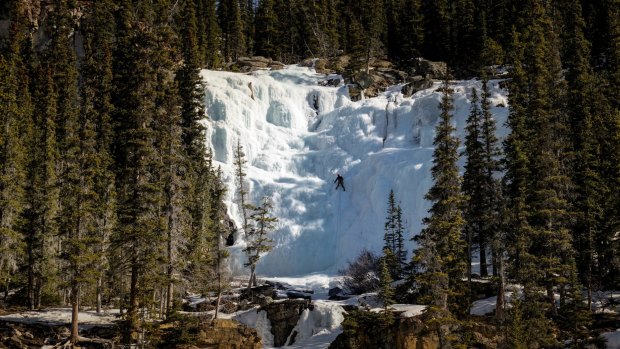 Intrepid climbers will climb frozen waterfalls in Jasper during winter.