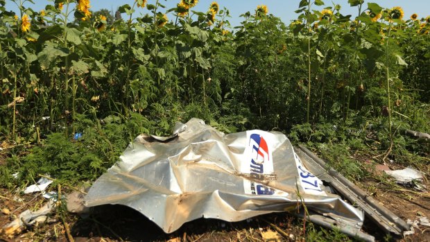 A piece of the downed MH17 plane in a field in Ukraine.