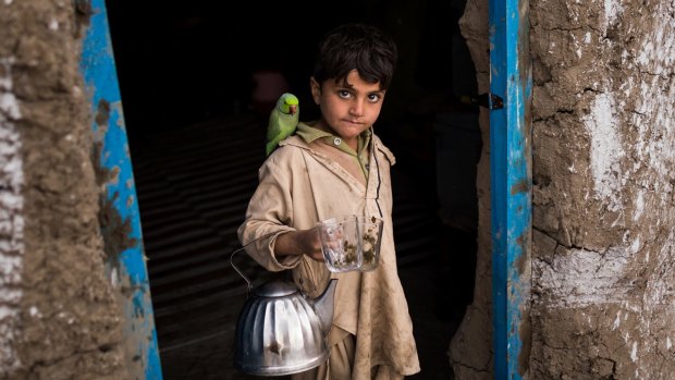In a photo provided by the Norwegian Refugee Council, Bilal Shah, 6, and his parrot Toti at their new home in the Nangarhar region of Afghanistan, Feb. 28, 2017. The Shah family had been forced out of the haven in Pakistan that their patriarch had found them during the last war, against the Soviets. Bilal's pet parrot, Toti, did not survive the transition back to Afghanistan. (Jim Huylebroek/Norwegian Refugee Council via The New York Times) -- NO SALES; FOR EDITORIAL USE ONLY WITH AFGHAN BOY PARROT BY MUJIB MASHAL FOR MAY 7, 2018. ALL OTHER USE PROHIBITED. Parrotboy