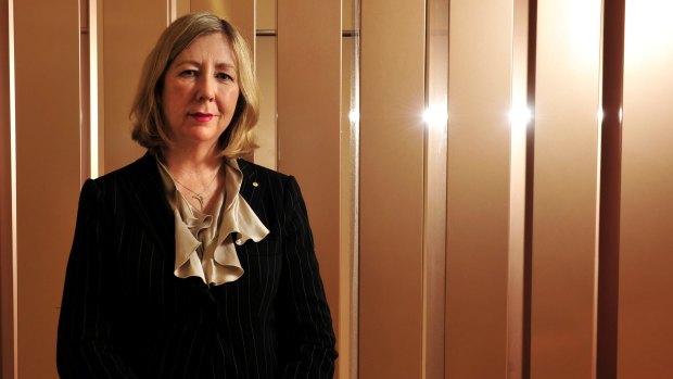 Human Rights Commissioner Dr Helen Watchirs says new laws preventing public servants from damaging the government's reputation may "go too far".